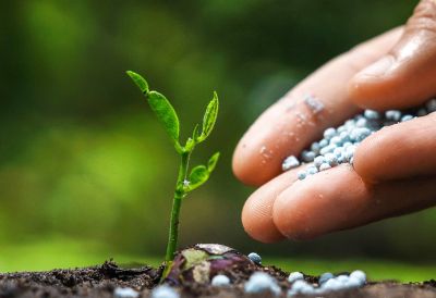 氯化鈀、醋酸鈀、DPPF二氯化鈀、DBA鈀、四三苯基膦鈀等均相催化劑的生產與銷售。